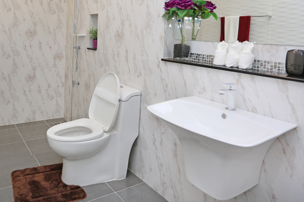 toilet-installation-services